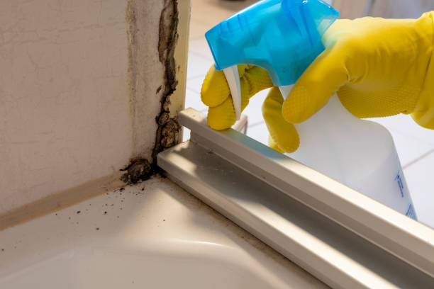 Best Mold Remediation for Specific Building Types in White Hall, AR